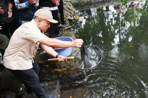 DR. Dian Rachmat Yanuar, M.Si saat menebar bibit ikan dewa di situs Kebon Balong Ki Buyut Sangkan.